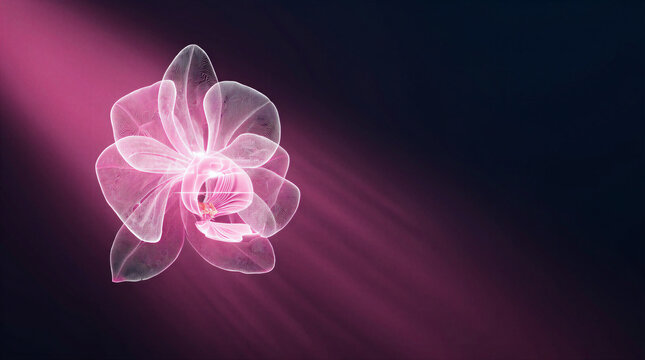 Orchid bloom fuel cell catalysis glowing in dark gradient space