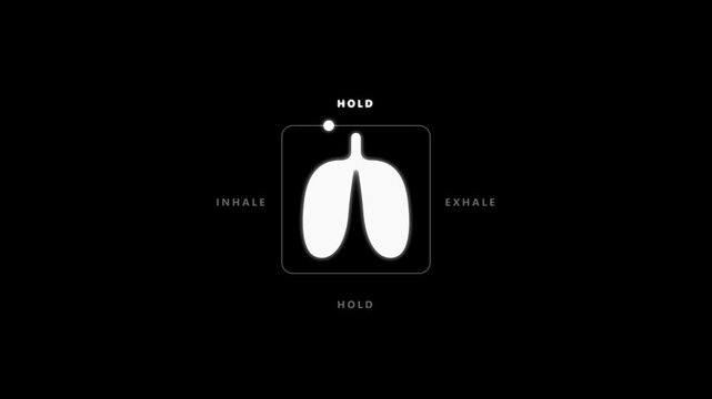 Guided breathing exercise animation: inhale, hold, and exhale lung cycle for mindfulness and meditation apps
