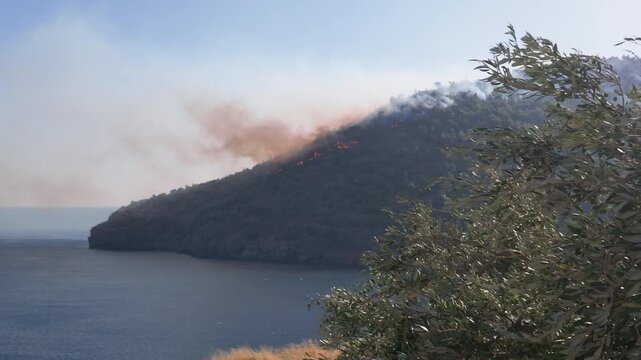 Wildfire burning on a coastal hill. Wild forest fire smoke rising near the sea landscape. Climate change wildfire and natural disaster stock video.