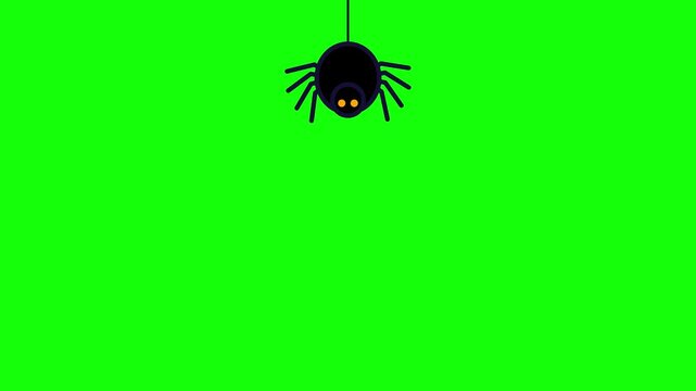Minimalist vector illustration of a black spider with glowing orange eyes hanging from a single silk thread against a bright chroma key green screen background for video compositing.