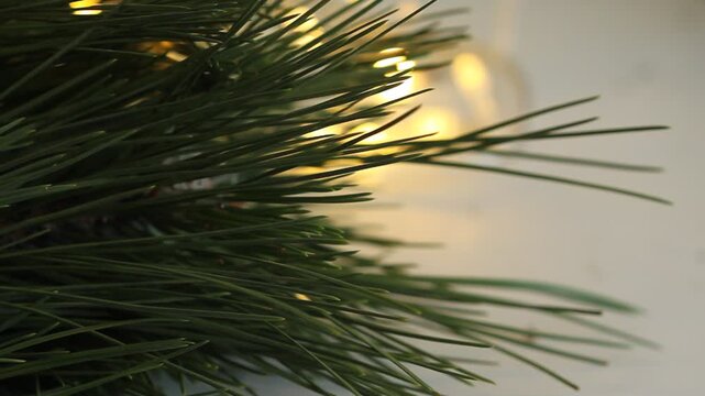 Christmas background with tree and lights, holiday decoration