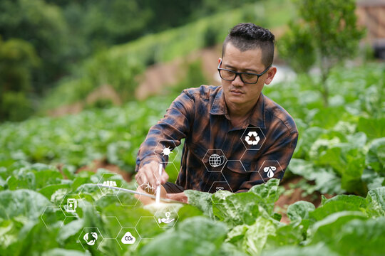 AgTech Innovation for Precision Vegetable Farming