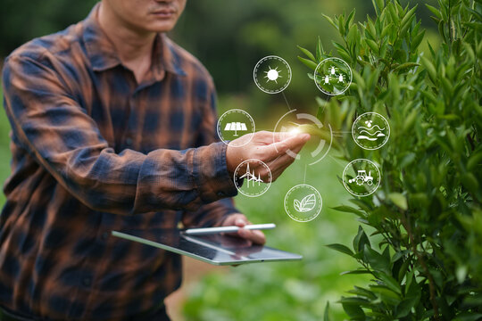 AgTech Innovation for Precision Vegetable Farming