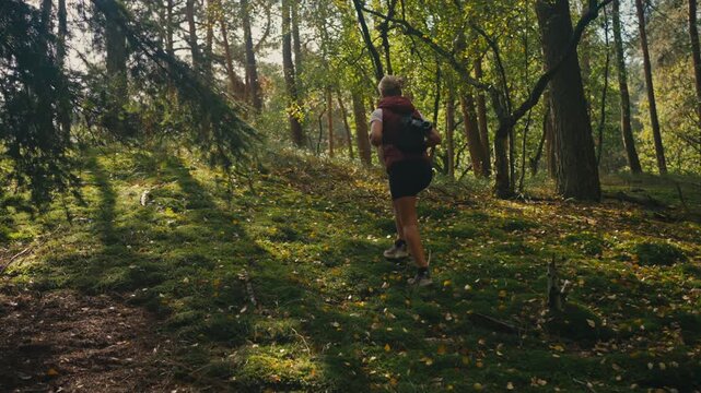 Slowmotion rear view of a woman walking up a mossy forest hill, with stunning soft light illuminating the moss and scattered yellow leaves creating a beautiful contrast.