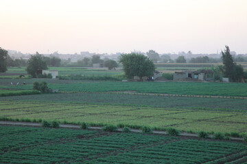 Sunset on the Green Land © Fady