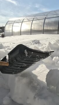 A Winter Scene: Clearing a Layer of Fresh Snow with a Shovel Near a Greenhouse, Glimmering Under Sunlight Amidst Winter's Chill