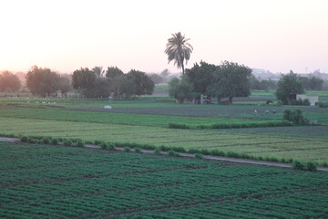 Sunset, Flare, Green Land and Houses © Fady