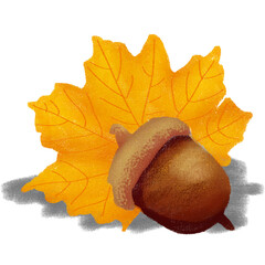 acorn gouche illustration © Wulansari