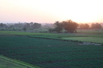 Sunset, Green Land and Houses © Fady