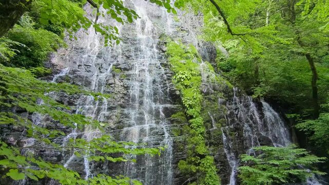 癒される自然の生音 日本の滝百選に選ばれる新緑の清流 福井県の龍双ヶ滝