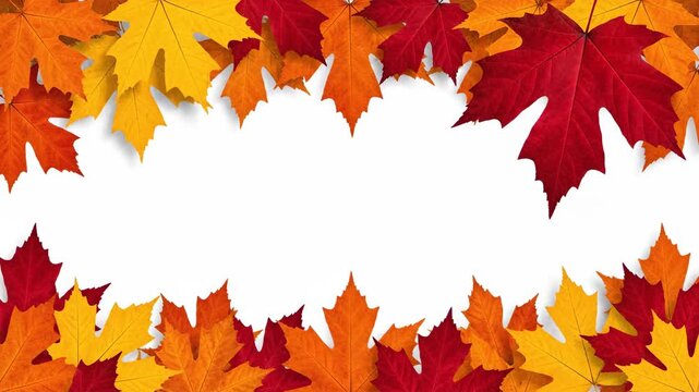 Autumnal maple leaves frame with vibrant colors and empty space