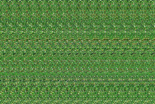 Hidden 3D Autostereogram of a Single Oregon Douglas Fir Tree Green Illustration