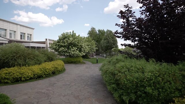 Curved flagstone pathway leading through manicured garden toward round white‑flowered ornamental tree framed by burgundy and green shrubs under pale blue sky, with garden, pathway, walkway, stone