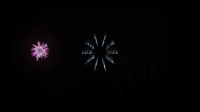 Abstract fireworks display with colorful explosions on black background.