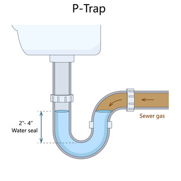 P-trap with standing water seal that prevents sewer gas from entering indoor spaces diagram hand drawn schematic vector. Science educational illustration