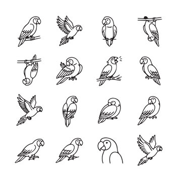 Adorable hand drawn parrots in various whimsical poses on branches and perches in simple line art style