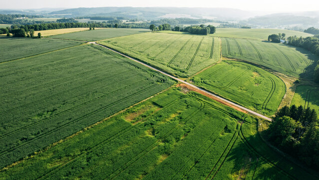 Aerial view of lush green agricultural fields with winding dirt road and rural landscape scenery