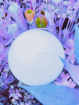christmas decoration on white background