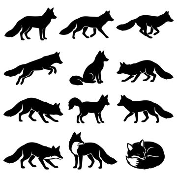 Vector fox silhouettes set, wild foxes in different poses, running, jumping and sleeping isolated on white background