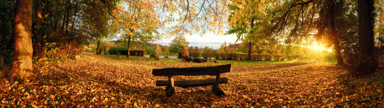 Wide panorama of a bench under trees with nice scenic view in a park in autumn at sunset