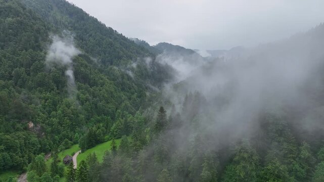 Drone footage over Slovenia Alps mountain forest with fog and low clouds . moody summer day creating cinematic natural atmosphere and magical alpine scenery of wilderness