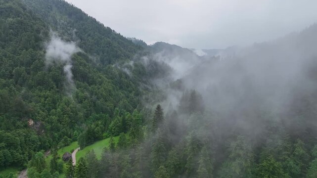 Drone footage over Slovenia Alps mountain forest with fog and low clouds . moody summer day creating cinematic natural atmosphere and magical alpine scenery of wilderness