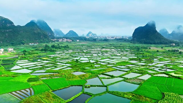 Aerial view of glass-like green rice fields and karst mountains in Guilin, China, in summer