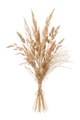 Fototapeta premium Dried grass and wheat bouquet tied with twine