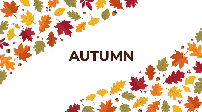 Autumn seasonal background border with colorful fall leaves vector graphic colorful foliage nature border