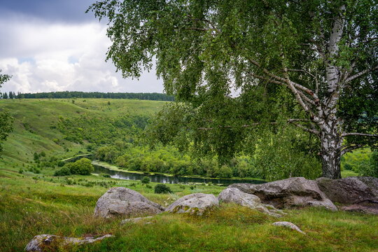 Ancient stones under a birch tree on Krasnaya  Mountain near the Krasivaya Mecha River, Tula region of Russia