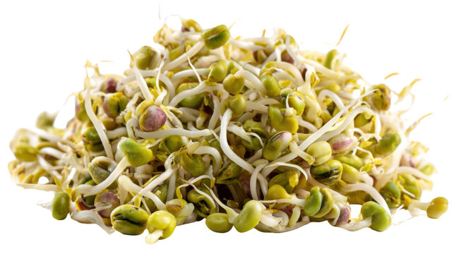 Fresh mixed bean sprouts pile healthy organic vegetable sprouted legumes raw natural nutrition closeup macro food photography studio isolated on white background