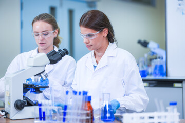 Fototapeta premium Two women scientists in white laboratory clothing, safety glasses and blue gloves in a bright modern life science laboratory, with two colleagues working at the same microscope bench.