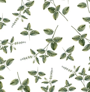 Mint Leaves Seamless Watercolor Botanical Pattern