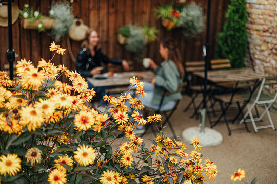 Vibrant yellow flowers in sharp focus frame two women chatting over drinks at a cozy outdoor caf&eacute; with rustic wooden d&eacute;cor and greenery