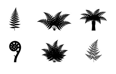 Obraz premium 70 Black Fern Silhouettes Collection, Tropical Foliage Vector Icons, Botanical Plant Graphics, Nature Elements for Design 100