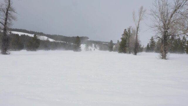 Snowy and windy landscape in Wyoming shot in 4K