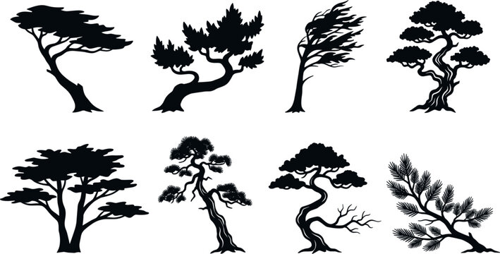 Bonsai and Pine Tree Black Silhouette Vector Illustration Set with Oriental Nature Elements