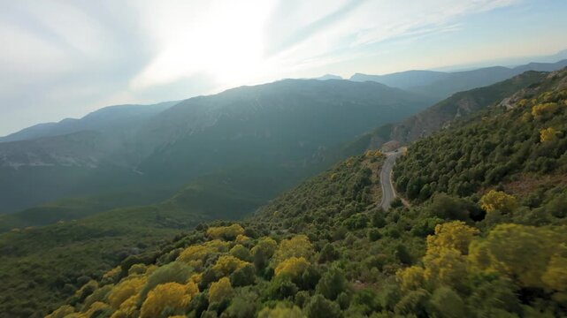 Backlit aerial view of a mountain valley with a dirt road, hillsides covered in yellow-topped shrubs, and Gorropu Canyon in the background, Baunei, Sardinia. FPV drone footage.