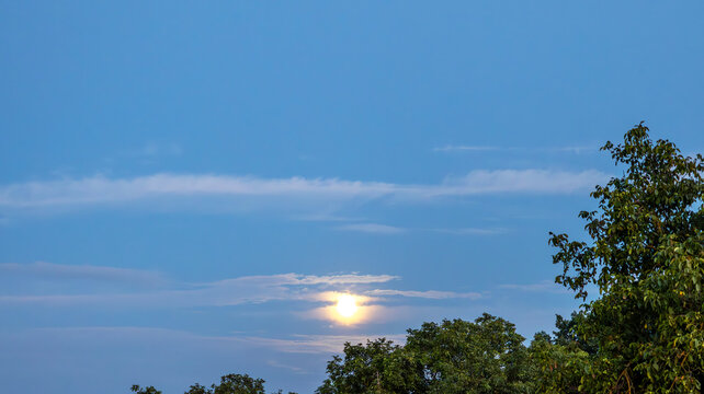 Full moon illumination through stratocumulus clouds above forest canopy