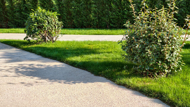 Sunny park landscape featuring concrete pathways, vibrant green grass, and lush bushes, creating a serene and well maintained outdoor environment for recreation and relaxation