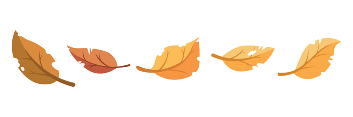 Fototapeta premium Autumn Falling Leaves Vector Clipart Set with Natural Cutouts