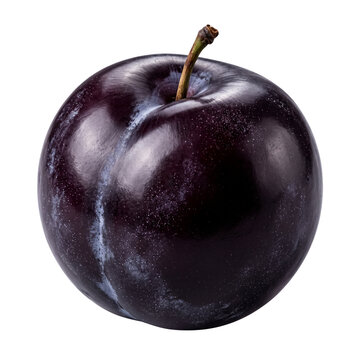 Single ripe dark purple plum