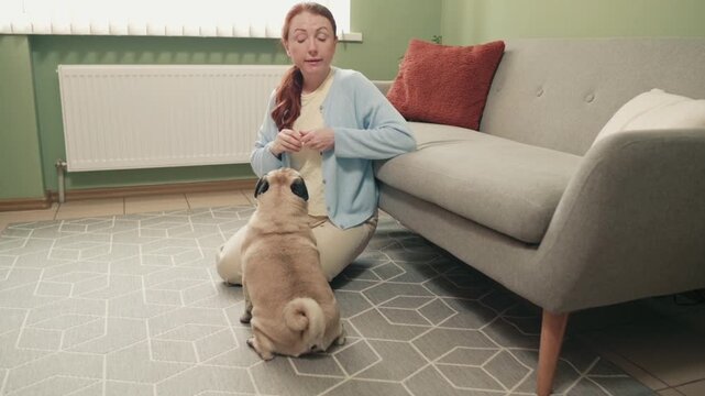 Woman kneels on a patterned rug and raises her hand toward a pug sitting in front of her in a bright living room.