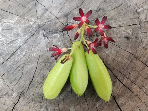 Bilimbi fruit and blossom flower on wood background