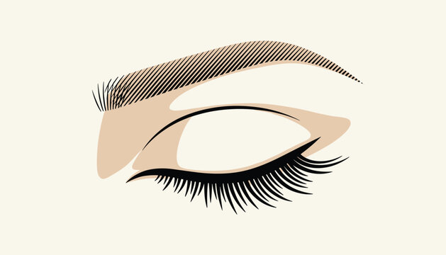 Elegant makeup illustration depicting a closed female eye with long thick eyelashes and a perfectly shaped eyebrow.