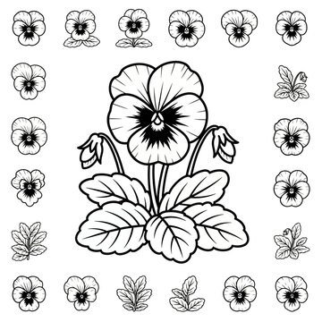 Pansy flower coloring page line art illustration vector drawing of viola tricolor with leaves.