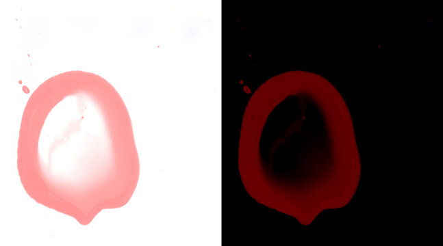 Red watercolor paint splash on white and black background, artistic ink blot illustration, liquid drop texture for creative design projects