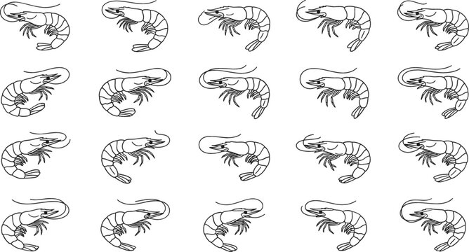 Fresh shrimp line art icon set featuring various marine prawns seafood elements and krill isolated on white background