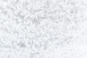 Naklejka premium Frosty white tree branches background