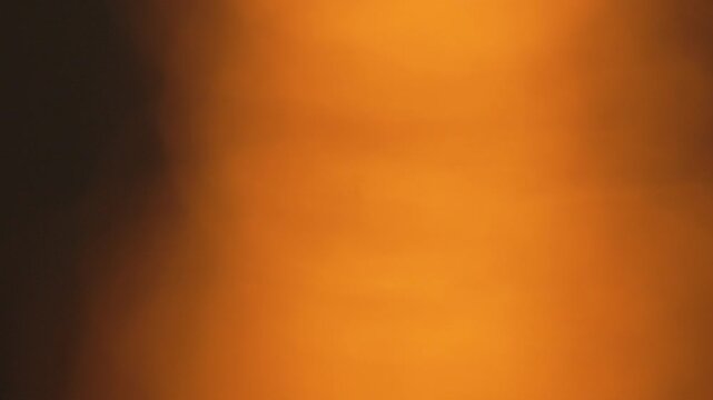 A blurry orange background with a dark brown foreground